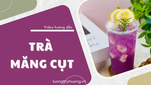 trà măng cụt
